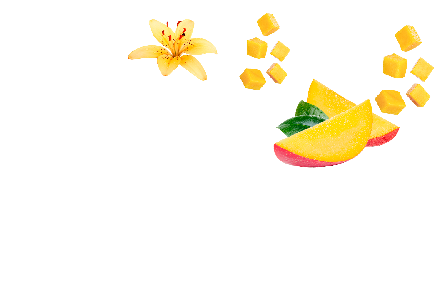 mango vainilla